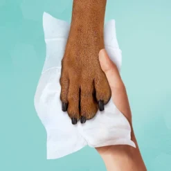 Pampers® Pampers Multi-Use Baby Wipes (Select Count) -Baby Products Store GUEST 2de2609c 57ba 427e 8071 be0bb53f95e1