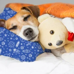 KeaBabies Toddler Pillow With Pillowcase, 13X18 Soft Organic Cotton Toddler Pillows For Sleeping, Kids Travel Pillow Age 2-5 -Baby Products Store GUEST 63ec1dd8 b8f4 4d96 a112 6ca0c496def0