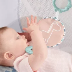 Fisher Price Fisher-Price Rock With Me Bassinet -Baby Products Store GUEST 6a6e621a 4269 48d0 b273 d91d9554e96c